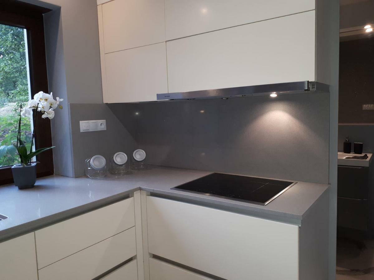 Apartamenty Centrum- Kochanowskiego -Dawniej Two-Bedroom Apartment Zielona Góra Zewnętrze zdjęcie